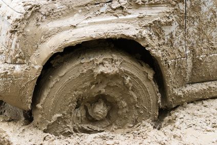 Dashing through the swamp