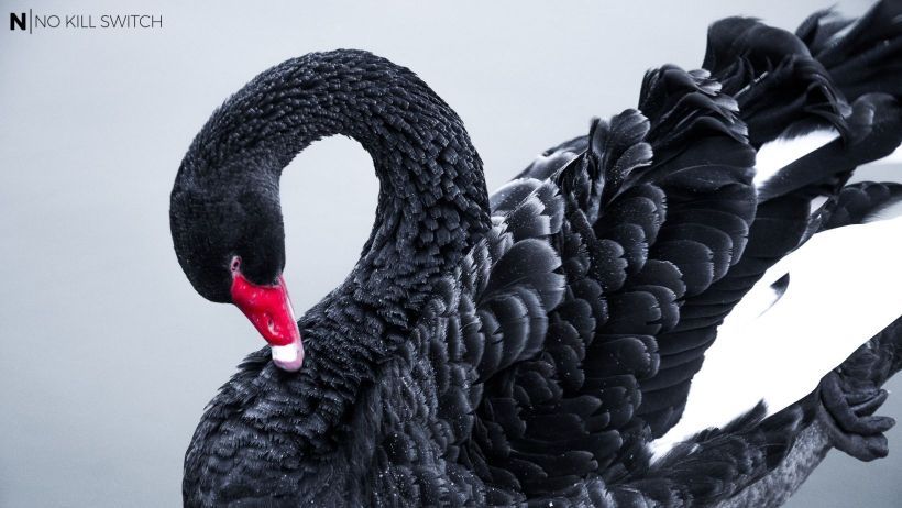 Who (could have) won the pandemic?