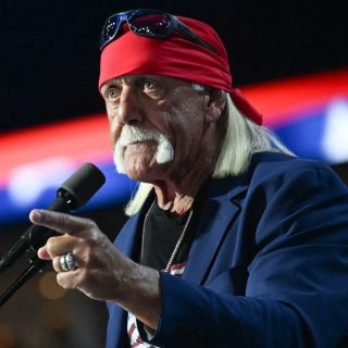 Hulk Hogan’s Former Accountant Faces 120 Years Over Fraud Case