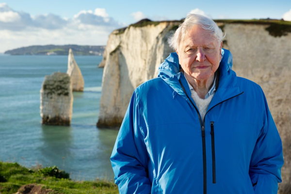 David Attenborough Marks 99th Birthday With Urgent Call to Save the Ocean in New Film