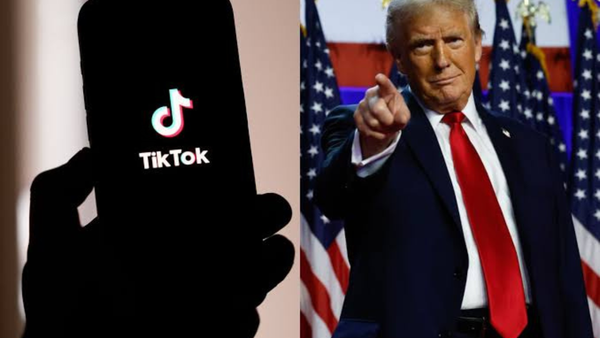 New proposal from Perplexity AI on TikTok may result in the U.S. government acquiring 50% ownership interest.