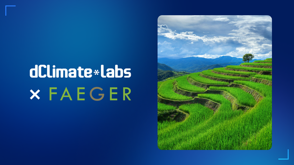 Faeger and dClimate Labs Launch AI Remote Sensing Program to Map AWD Potential in Philippines Rice Systems
