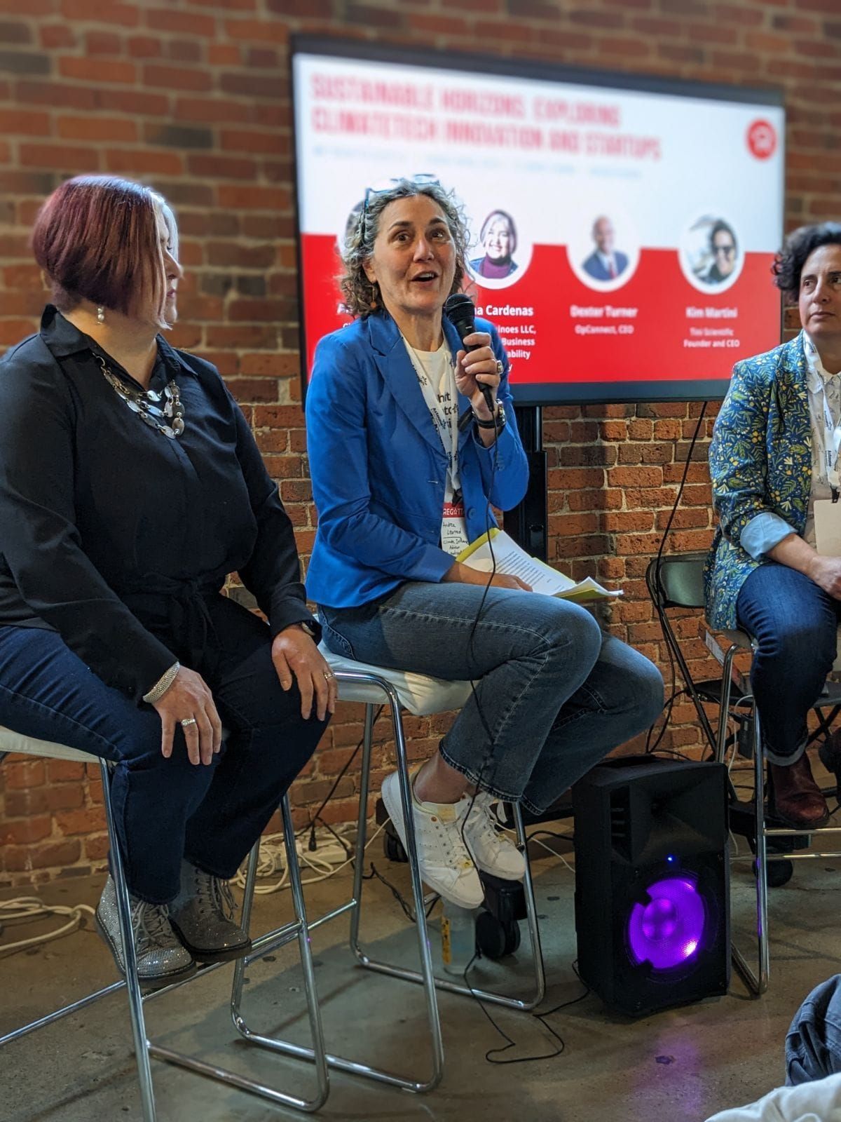 Events Matter for Climate Influence