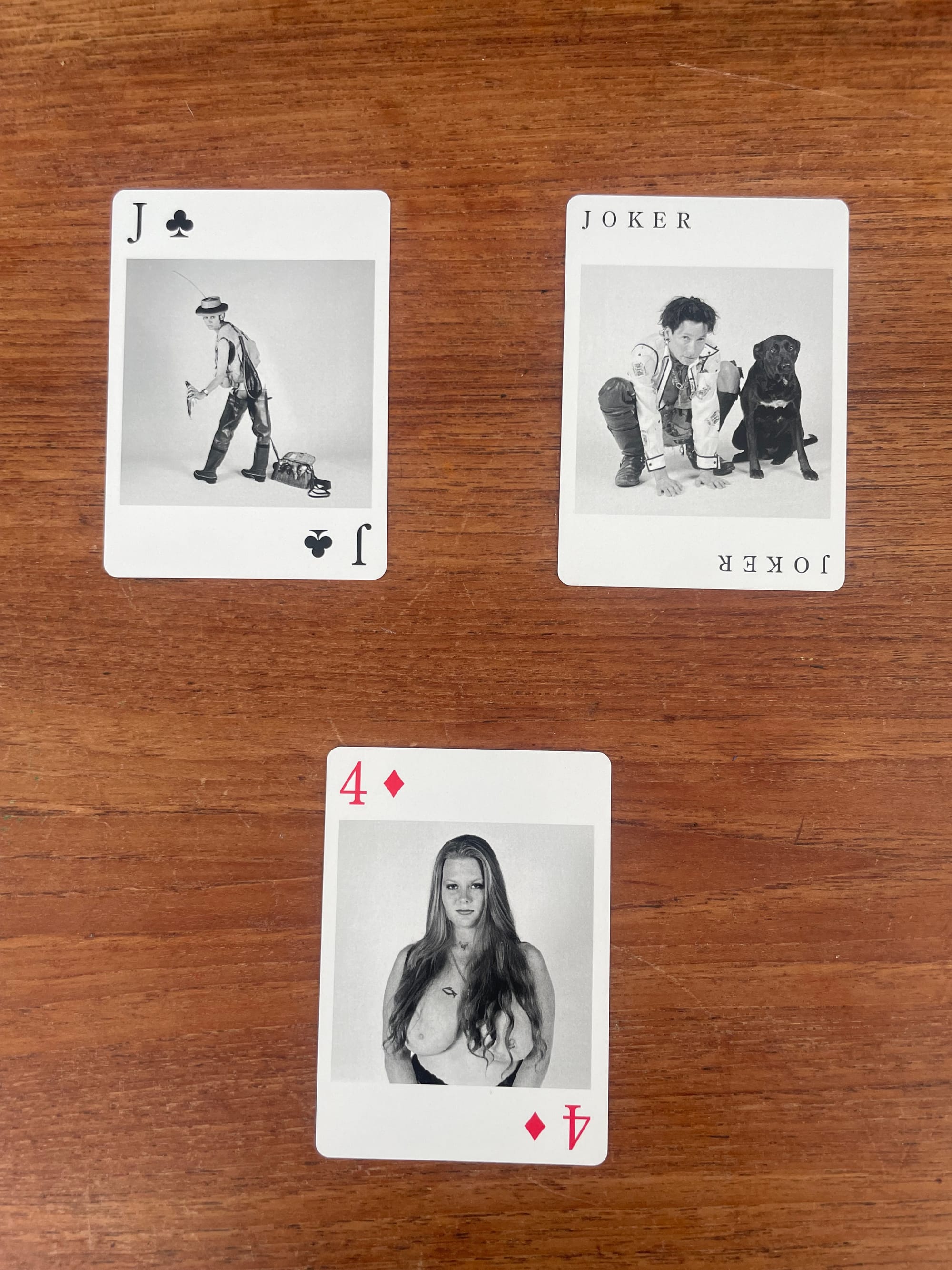inverted triangular card spread: seed (bottom): 4 of diamonds ft a pale-skinned topless femme with big breasts & long hair staring directly into the camera, sun (top left): jack of clubs ft a dyke fisherman with a rod & net facing away from the camera, rain (top right): joker ft a black dog & its owner in a collared shirt with messy short dark hair crouching like a dog