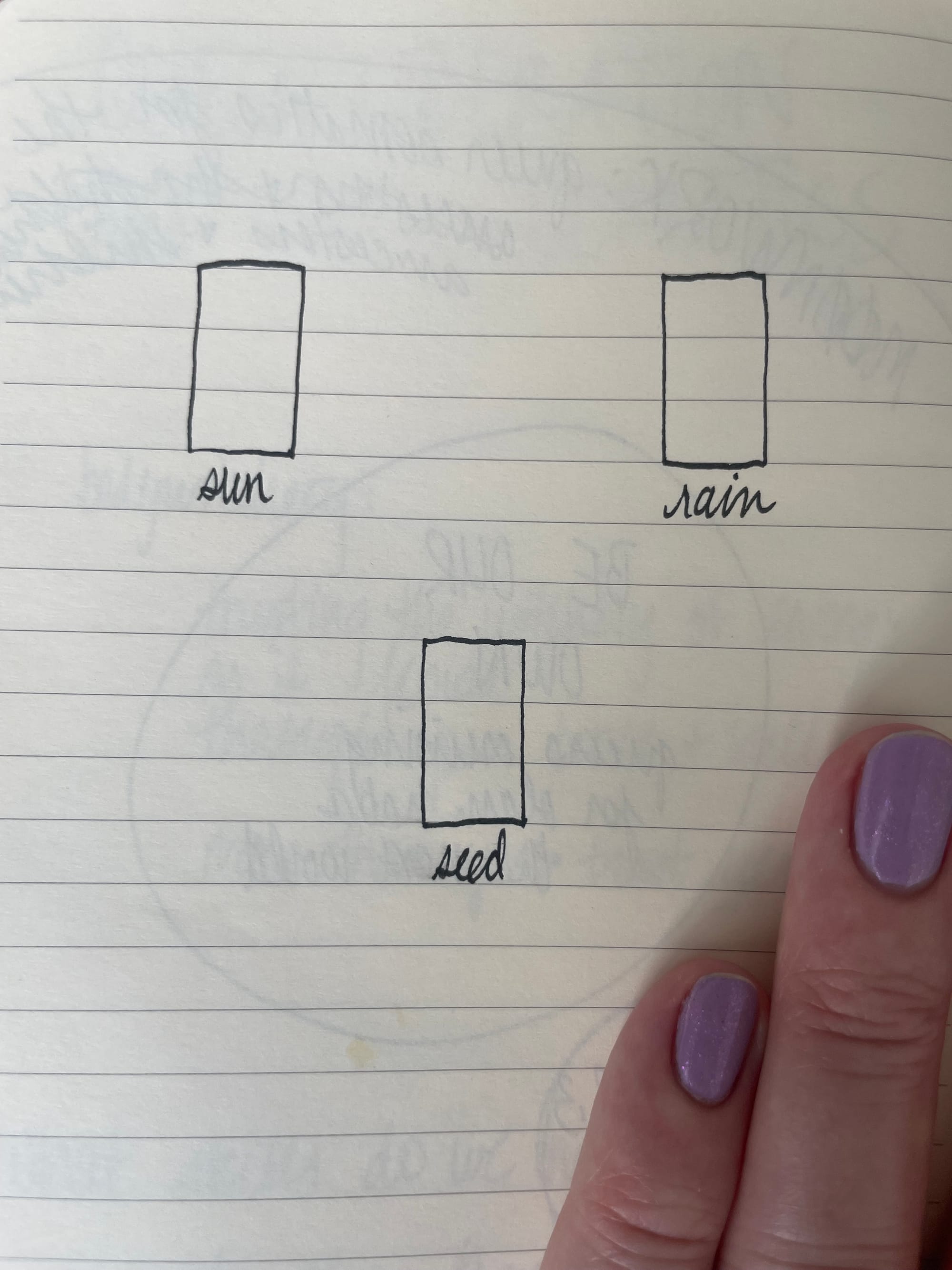a pinkish light-skinned hand with lavender sparkly nails holds down a page showing a 3-card inverted triangle tarot spread: seed at the bottom, sun top left, rain top right