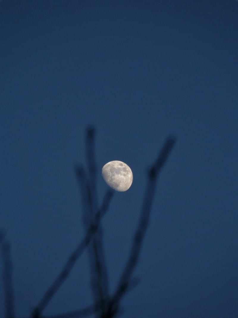 moonwork mini: waxing gibbous 🌔