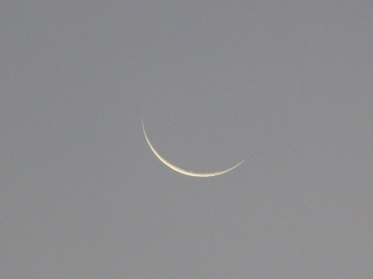 moonwork missive: new moon 🌑