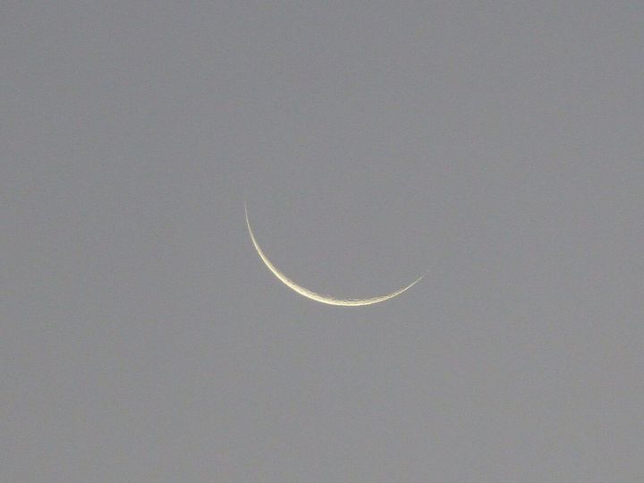 tiny sliver of waning crescent moon in a uniformly gray sky
