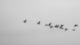 Migrating from Substack to Ghost: A Software Engineer's Perspective
