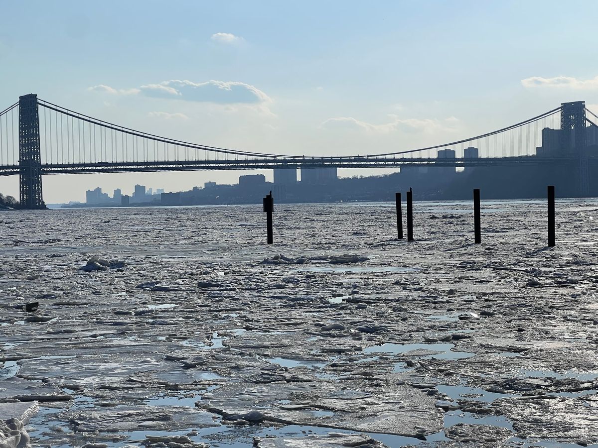 February 19 Update: Billionaires Panic at Calif. Wealth Tax; LA DA's Police Amnesty; Brazil's Police Massacre Exposed; ICE Snubs Courts; The CIA's Nordstream 2 Connection; Wagner's Sabotage Ring; Palantir's Federal Billion