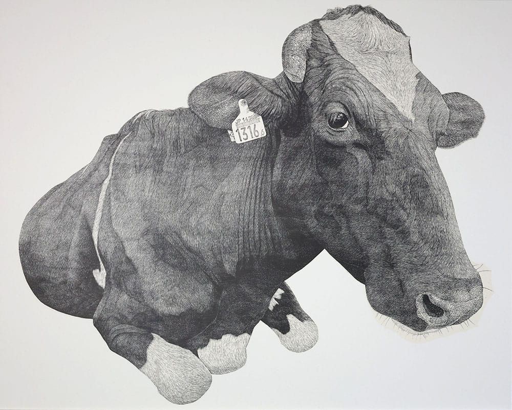 日本藝術家20年只畫一個主題  在牧場打工畫牛