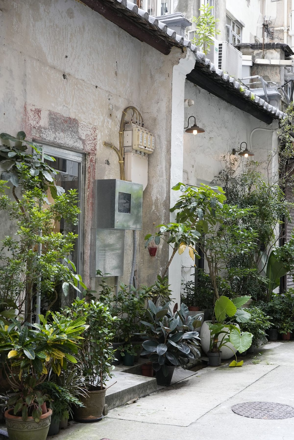大坑古建築 變身 VISVIM博物館