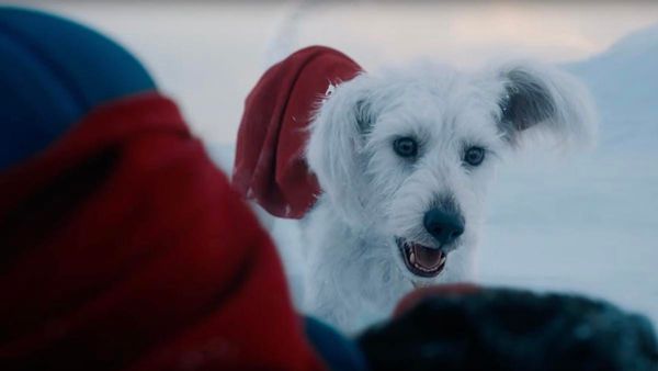 《超人》出狗 Krypto初登場搶盡風頭