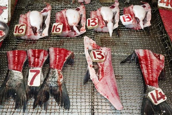 香港最上鏡食物！告別英國傳奇攝影師