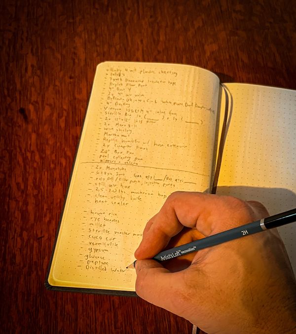 Re-Enchanting Ordinary Life