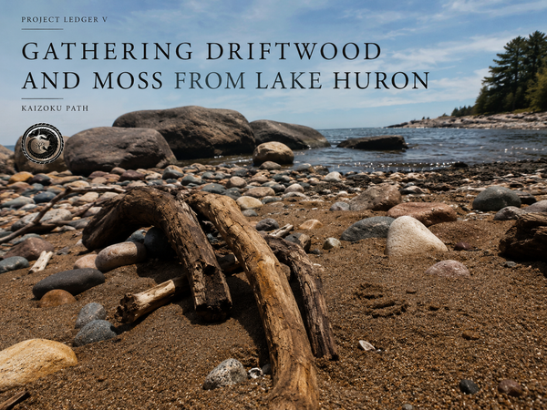 Gathering Driftwood and Moss from Lake Huron