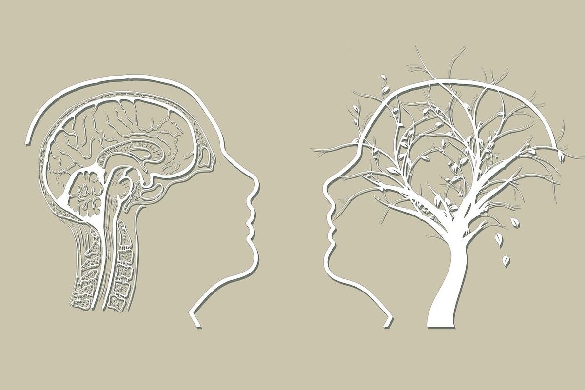 Is There a Link Between Alzheimer's Disease and Brain Fog?