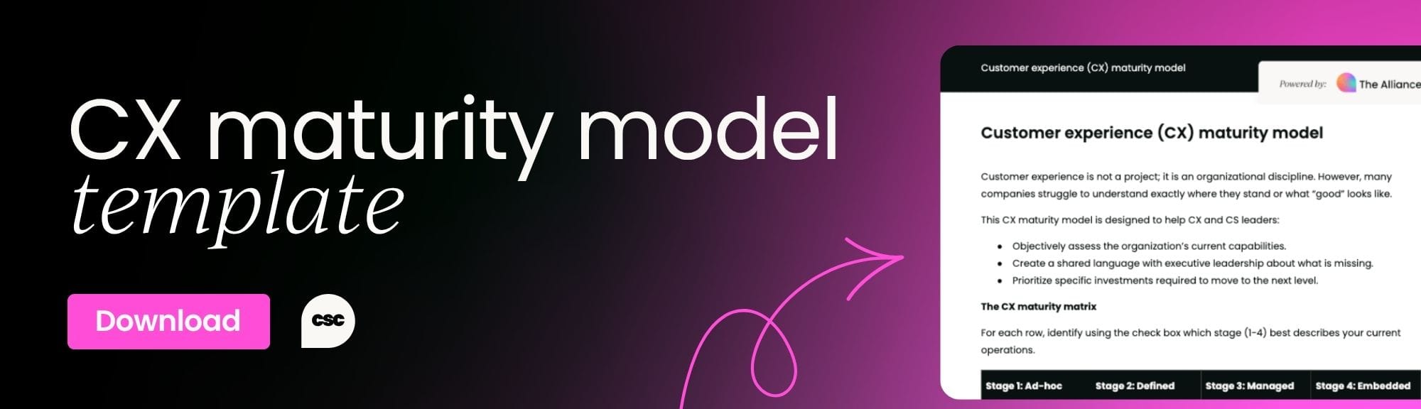 Customer experience maturity model template