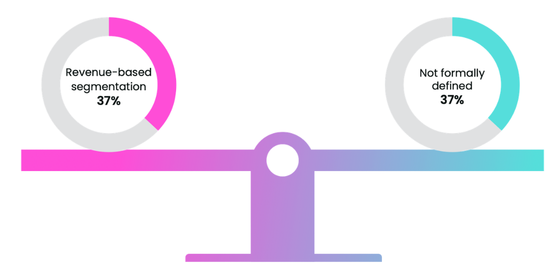 How customer success teams segment their clients