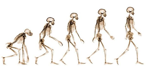 What's the next stage in the evolution  of customer success?