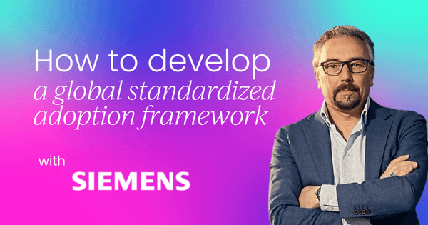 How to develop a global  standardized adoption framework
