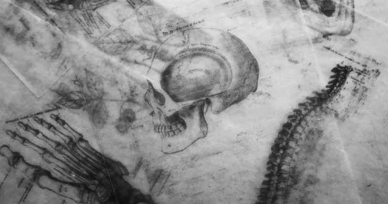 The anatomy of the  customer health score