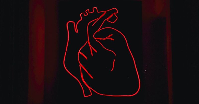 Designing a customer success strategy  built on sentiment and relationships