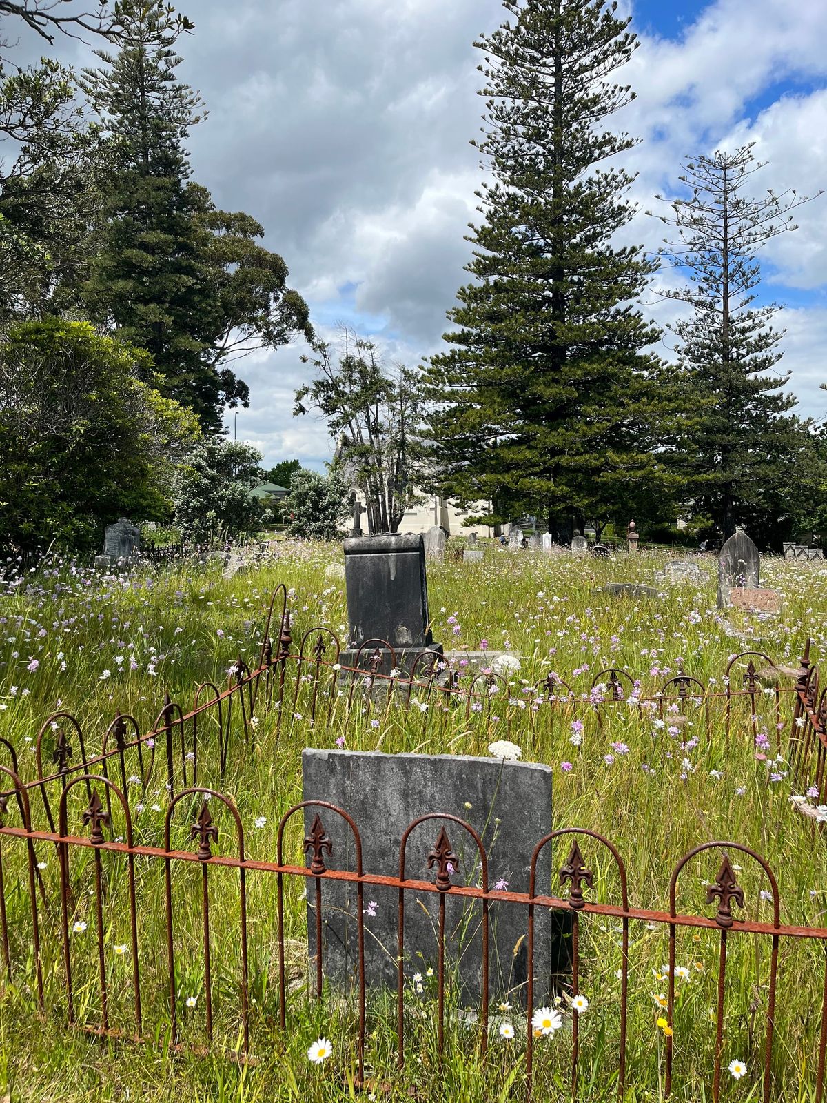 A graveyard with tall grass and wildflowers, very tall Christmas-like trees, and a cloudy blue sky.