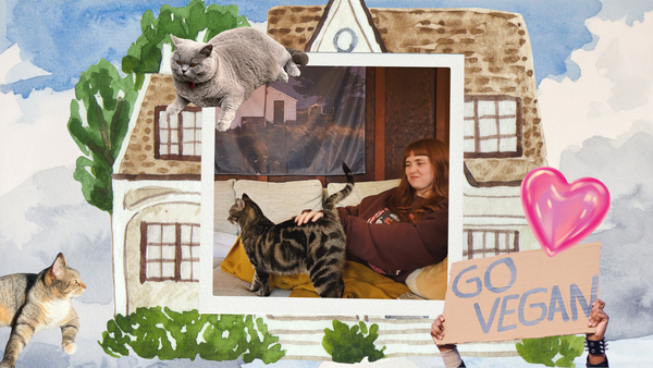 A collage featuring some of my favourite cat friends, with a watercolour house and sky in the background, and a person holding a sign that says 'go vegan'
