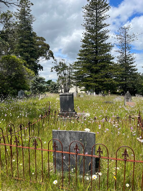 A graveyard with tall grass and wildflowers, very tall Christmas-like trees, and a cloudy blue sky.