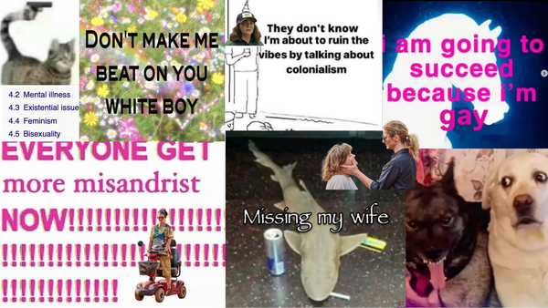 A chaotic collage of memes about misandry, gayness, and decolonisation.