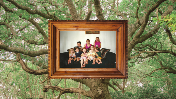 A photo of a bunch of nine children sitting on a couch, from babies to teenagers. The photo is framed. In the background is a large, leafy tree with its branches splaying out.