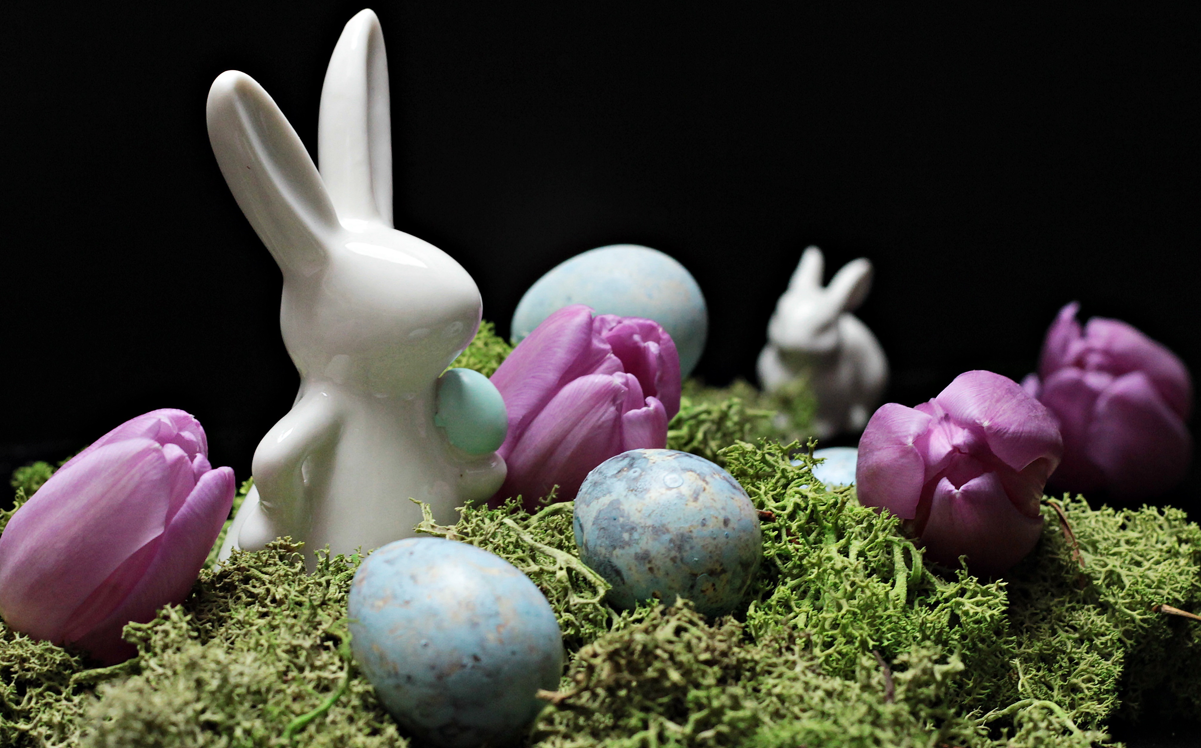 Grass blossom plant flower purple moss 1285200 pxhere.com_.jpg