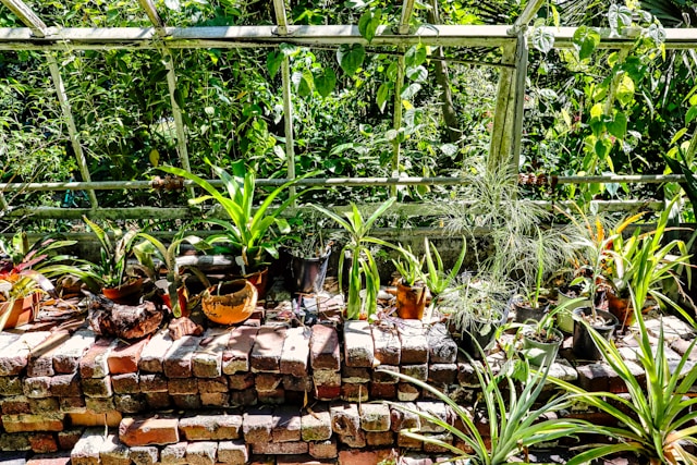 Mick haupt xgcltd97 j0 unsplash.jpg