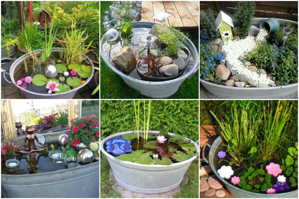 Eine alte Zinkwanne wird zum Mini-Teich :)