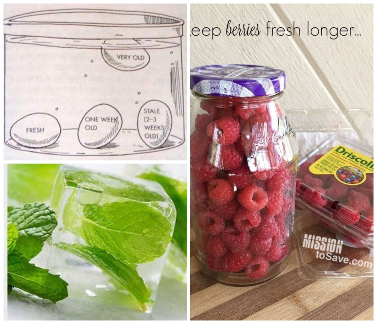 Clevere Lebensmitteln- und Küchen- Tipps