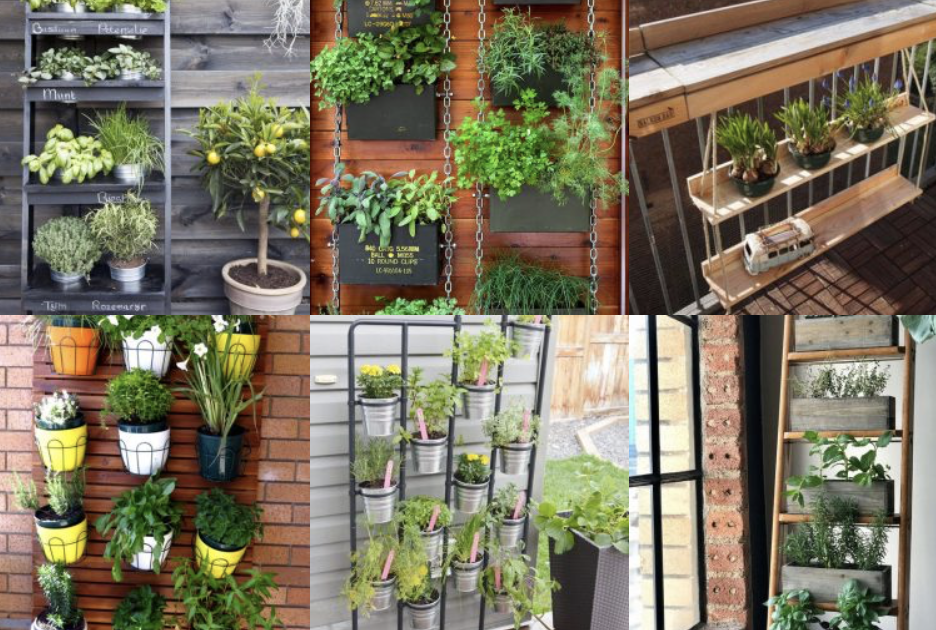 Frische Vitamine aus dem Topf – so gelingt es auch auf dem Balkon !:)