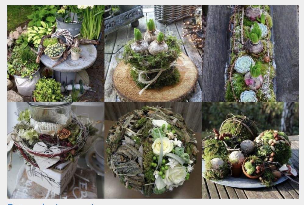 Mit Moos dekorieren und mehr Natur ins Haus bringen :)