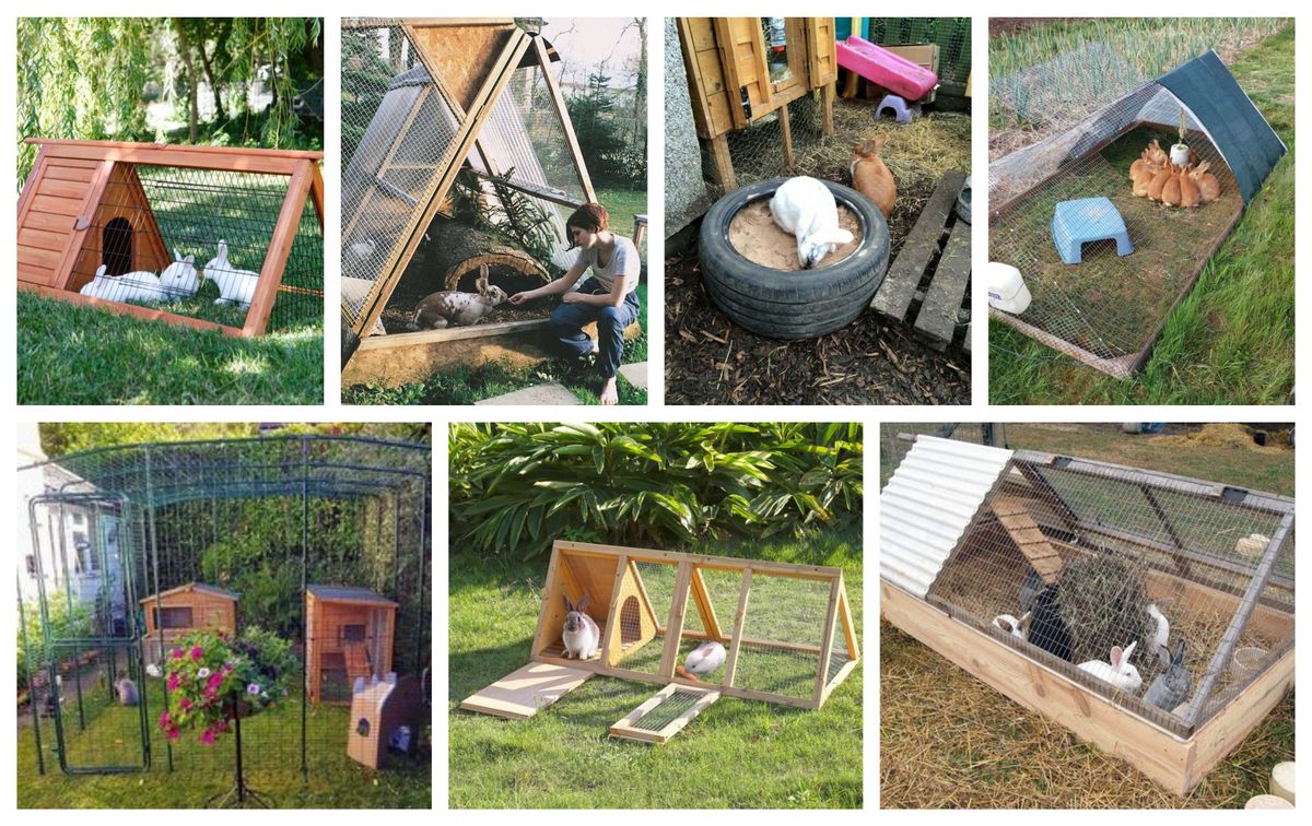 Gehege für Kaninchen – tolle Ideen für euren Garten :)