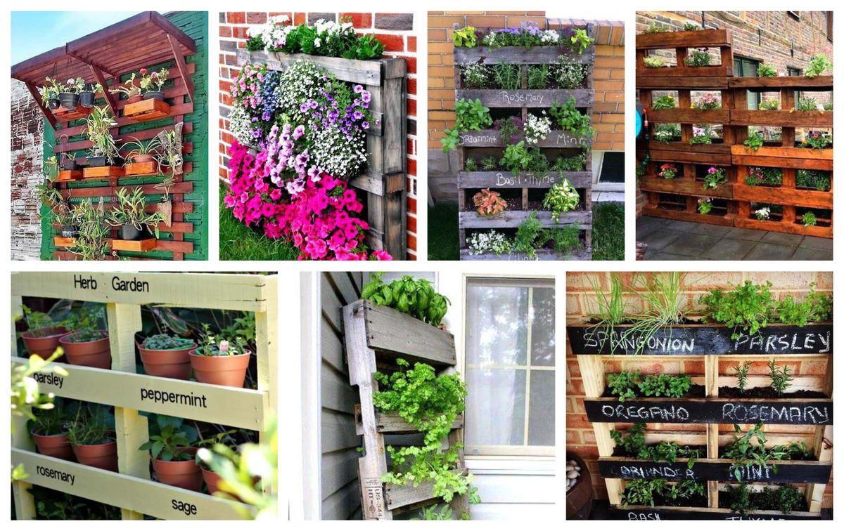 Vertikaler Garten aus Paletten – Ideen für einen kleinen Garten :)