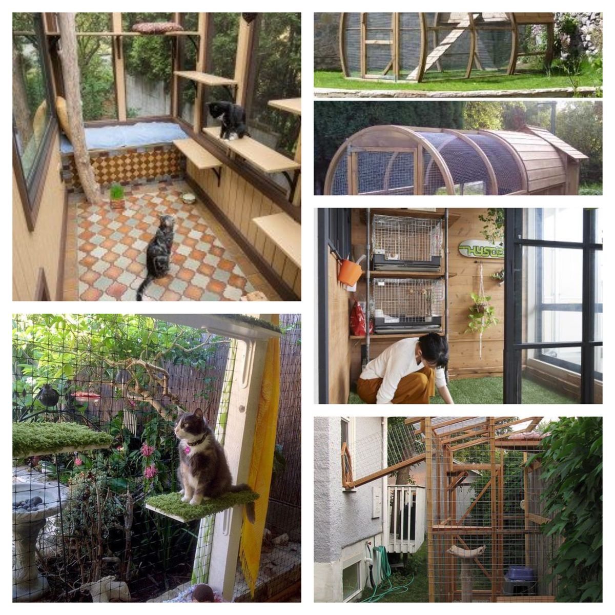 DIY – 15 tolle Außengehege für Katzen