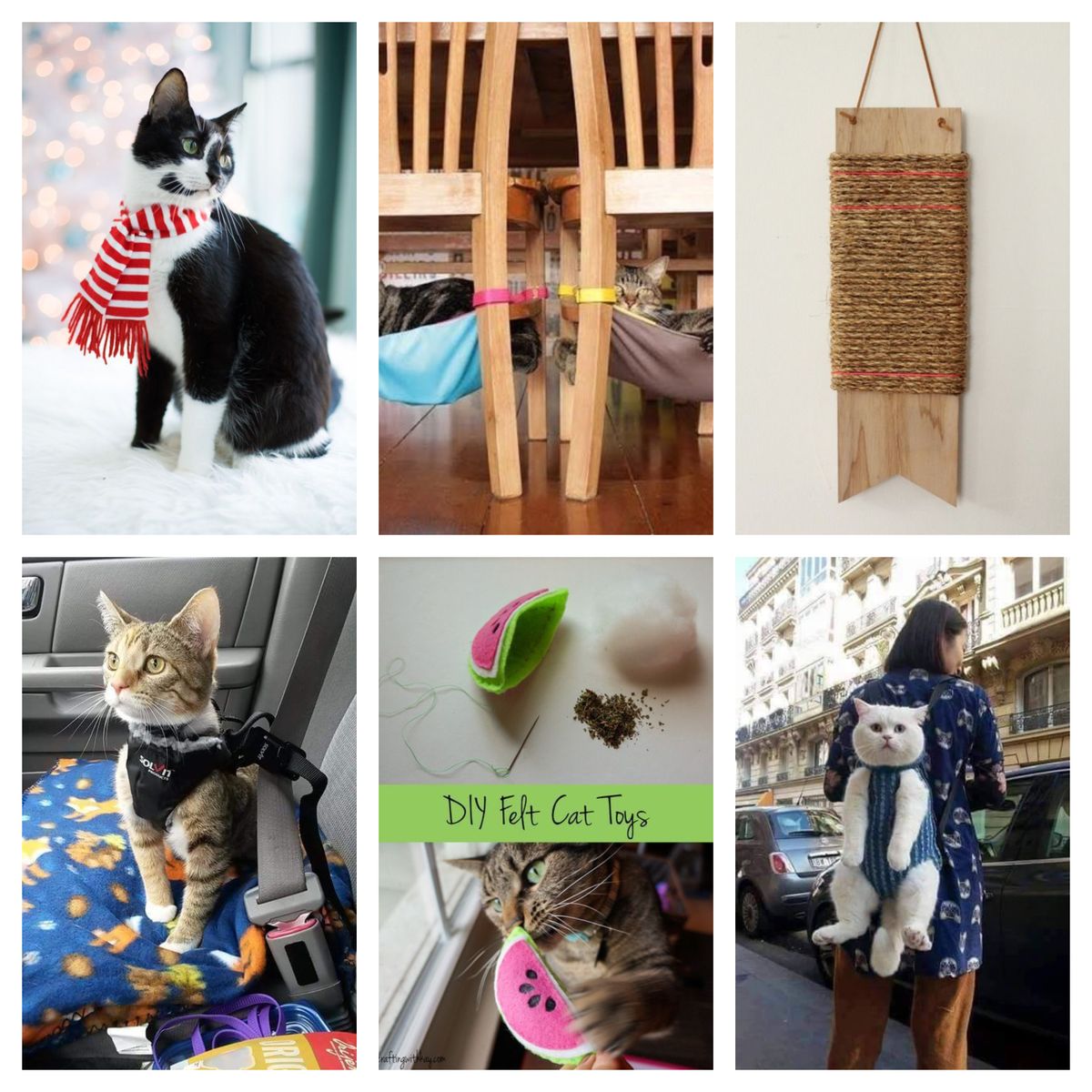 21 fantastische Ideen für euer vierbeiniger Freund