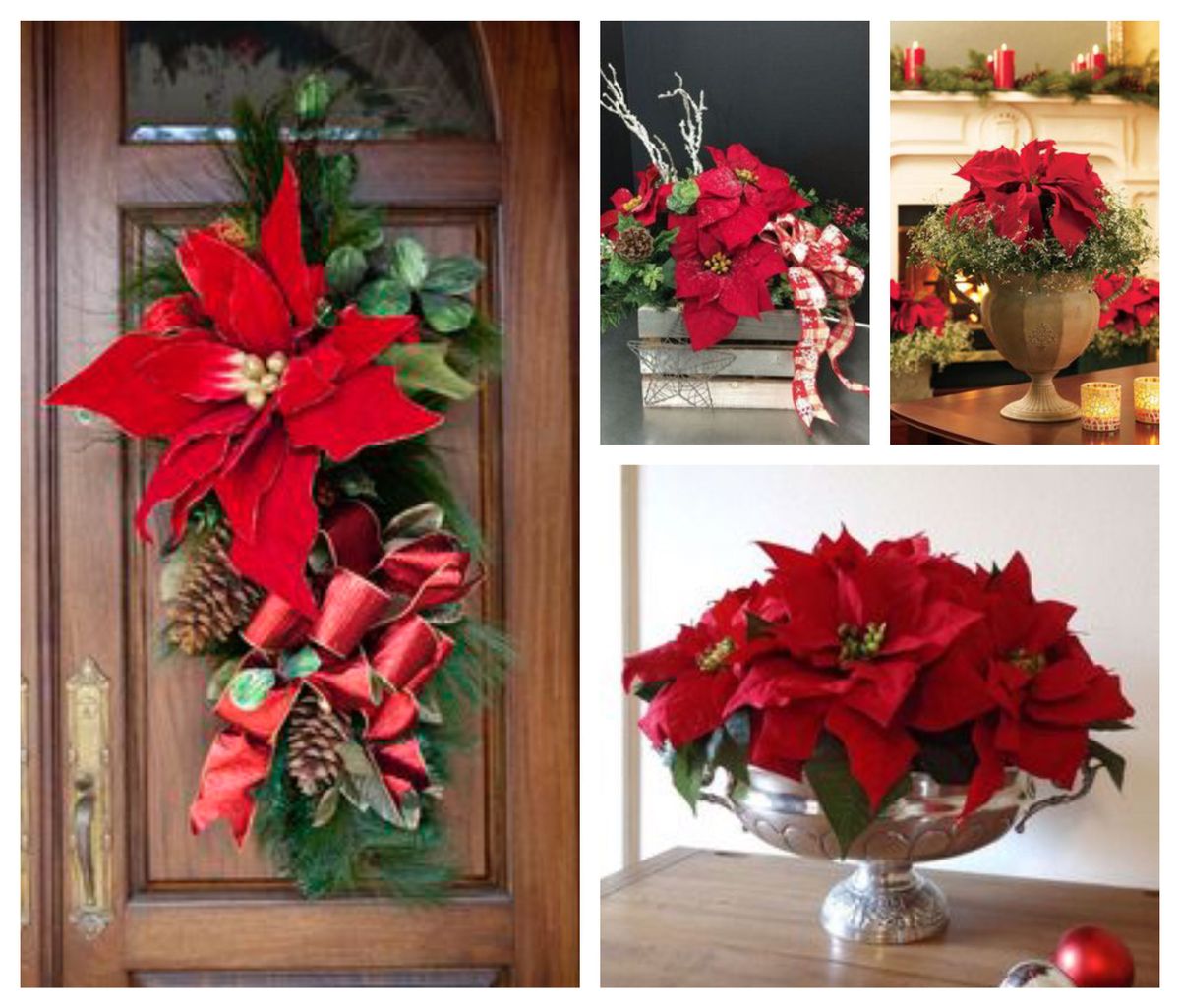 Wunderschöne Weihnachtsblumen-Gestecke als Inspiration :)