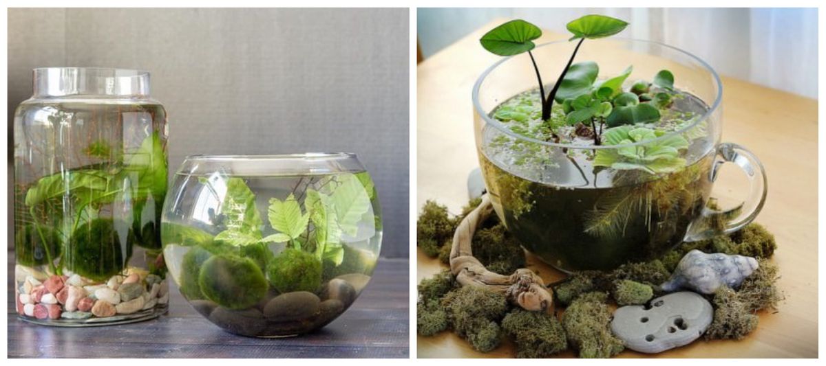 Zauberhafter DIY-Teich in einem Glasgefäß :)