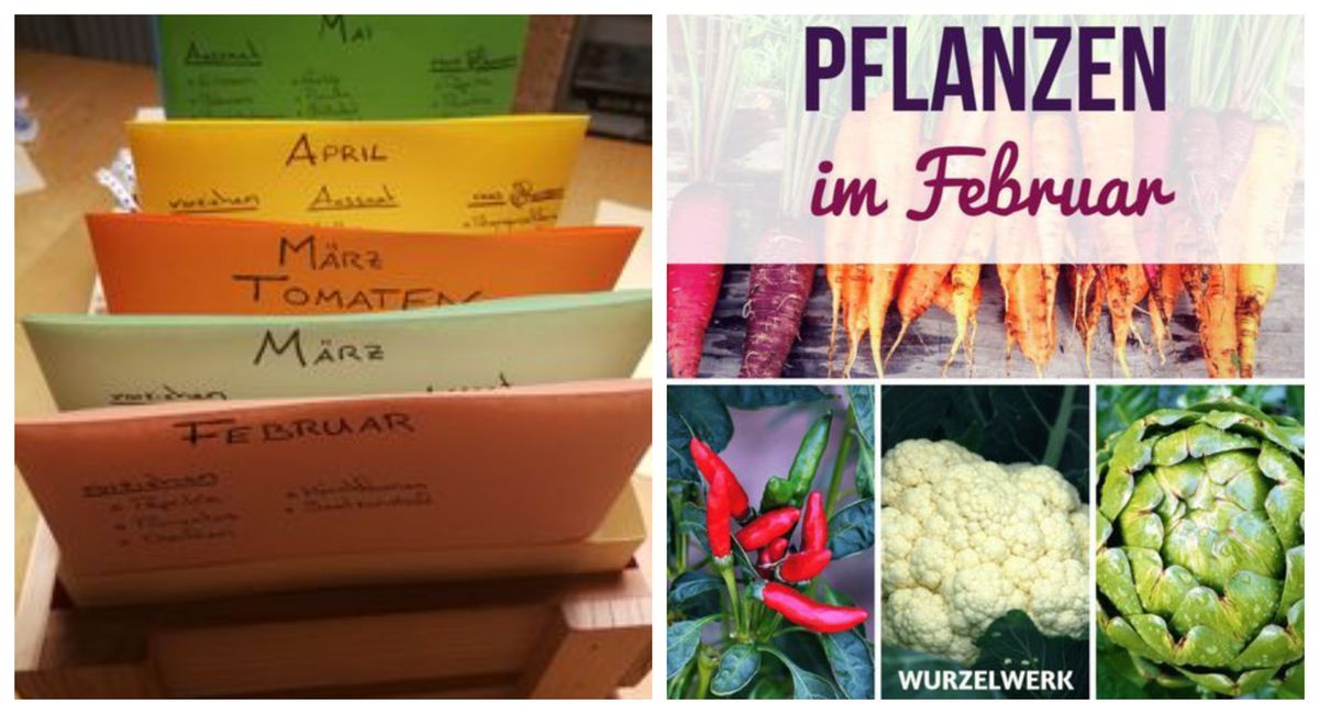 Aussaat und Pflanzen, die in Februar gepflanzt werden müssen :)