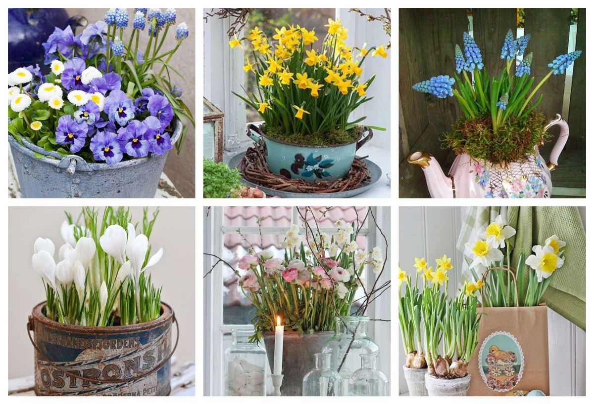 Mit Hyazinthen, Tulpen, Narzissen und Co. dekorieren :)