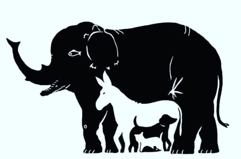 Rätsel: Wie viele Tiere siehst du auf dem Bild? Wenn du sie alle finden kannst, bist du ein Genie!