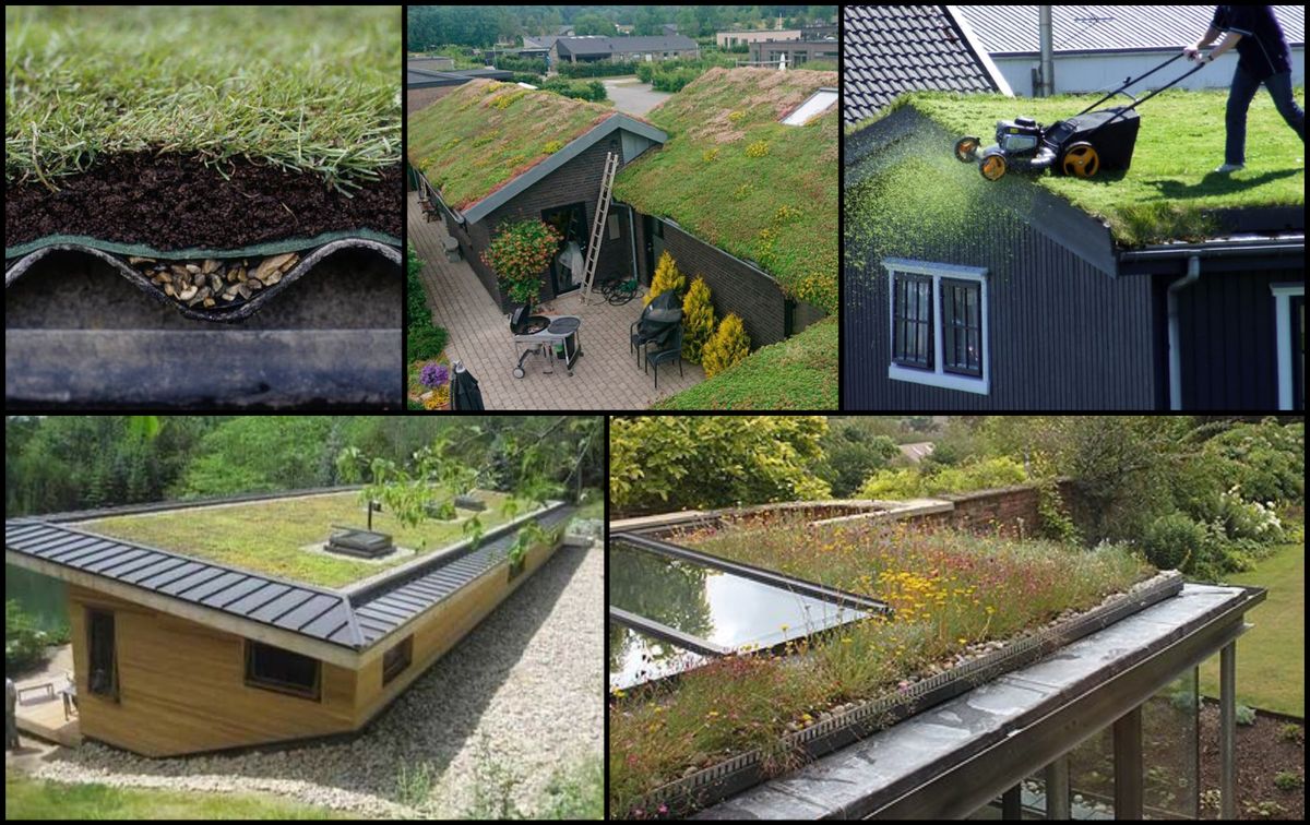 Extensive Dachbegrünung – eine interessante Idee