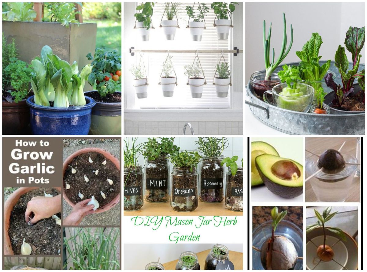 Garten im Topf – so einfach!