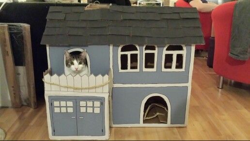 Das alllerbeste Katzenhaus ist aus Pappe :)